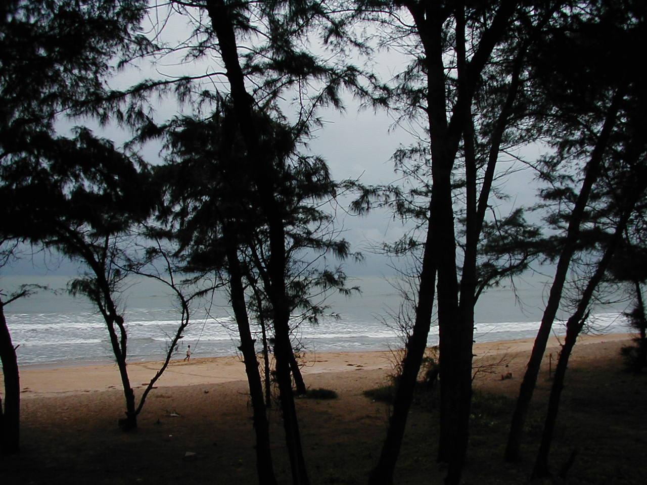 Galgibaga Beach in South Goa